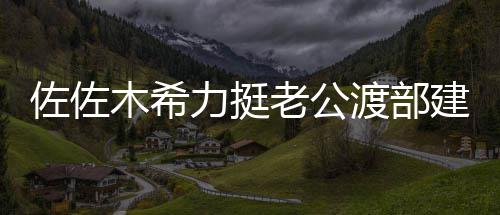 木希建复家人渡部一起佐佐会跟力挺老公出前进